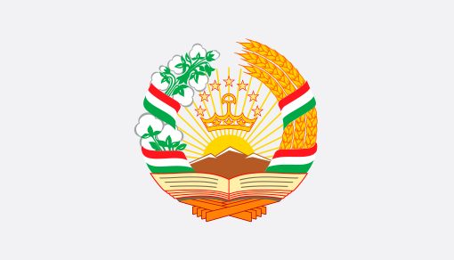 Partner 8